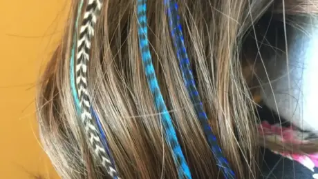 Feather Hair Extensions